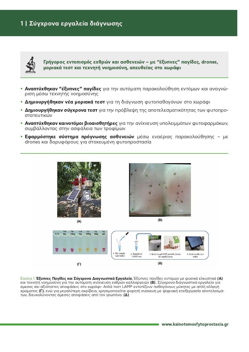 250603_KF_Brochure17x24_page-0003