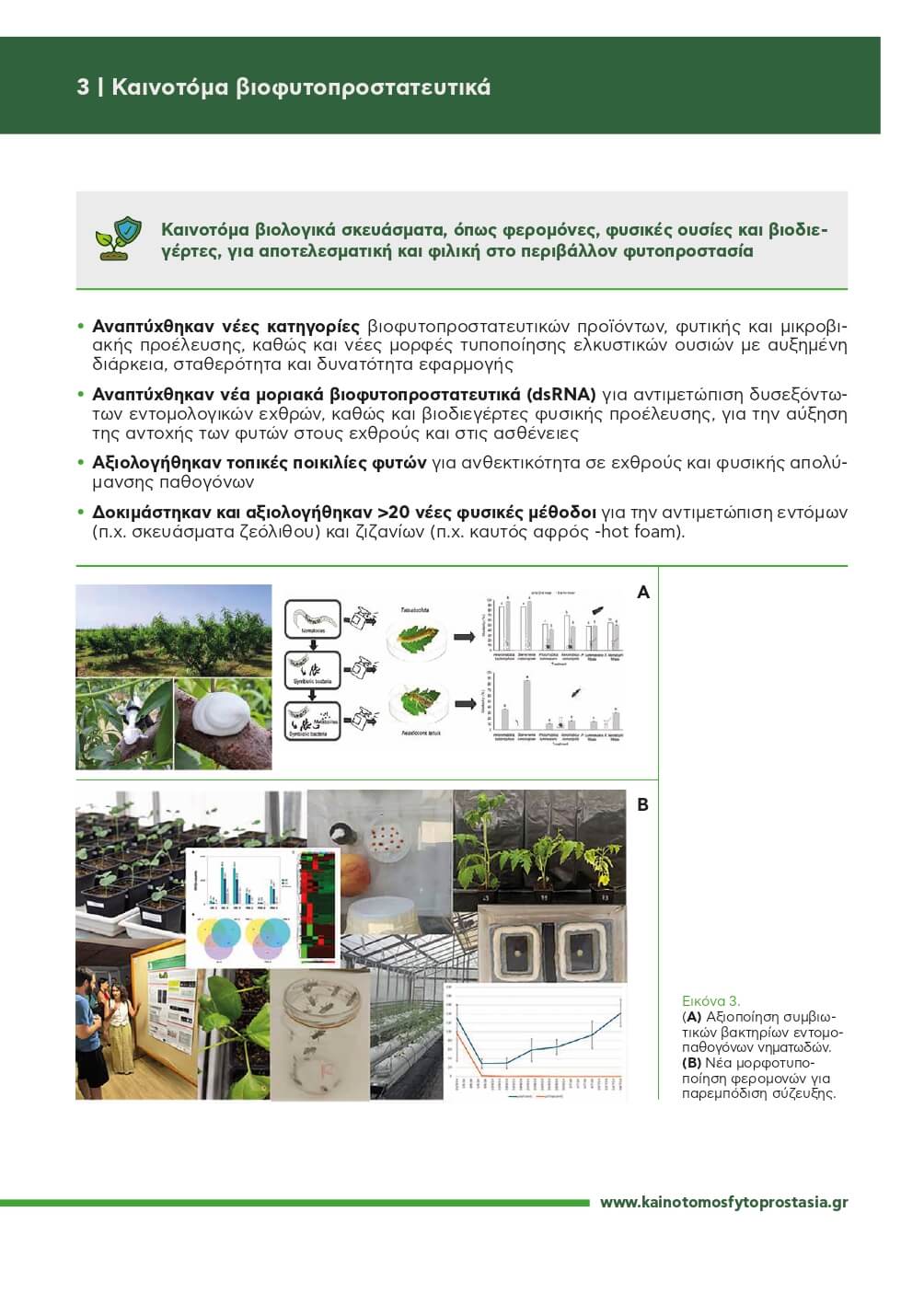 250603_KF_Brochure17x24_page-0005