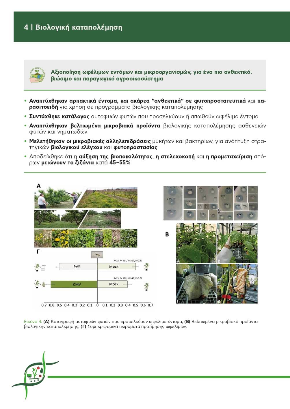 250603_KF_Brochure17x24_page-0006
